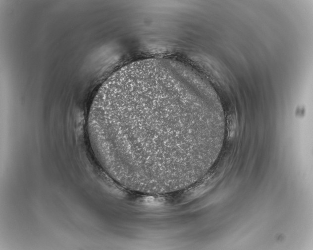 X0000094810279200711301558