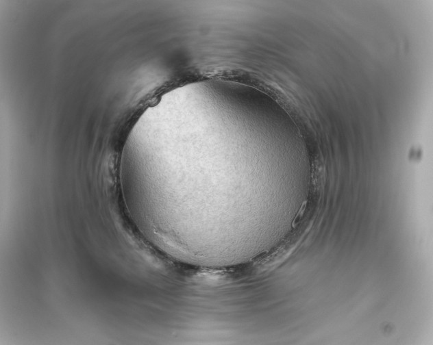 X0000094810280200711301558