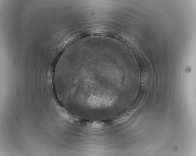 X0000094810282200711301558