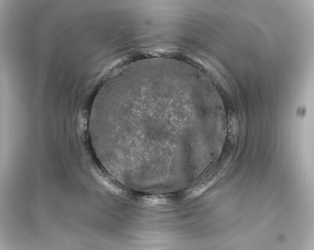 X0000094810284200711301558