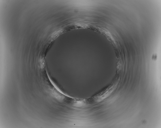 X0000094810285200711301558