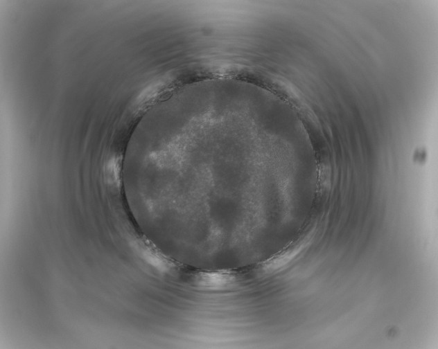 X0000094810286200711301558