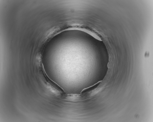 X0000094810288200711301558