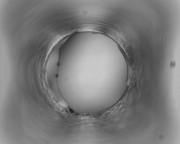 X0000094810289200711301558