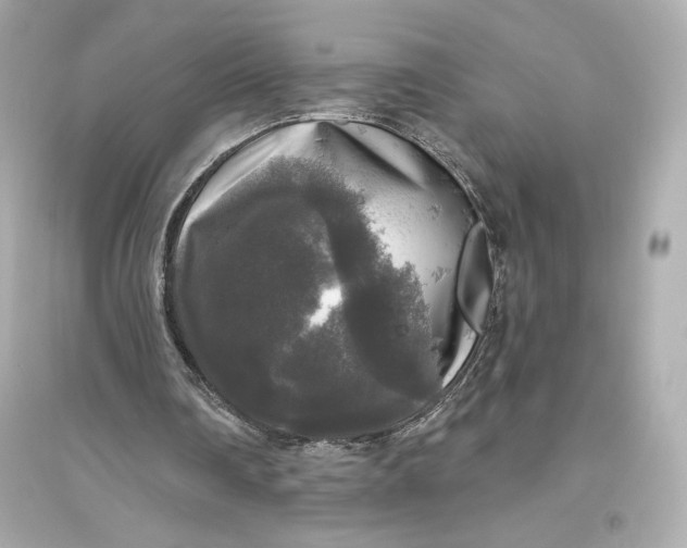 X0000094810290200711301558