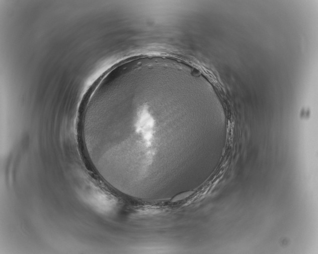 X0000094810292200711301558