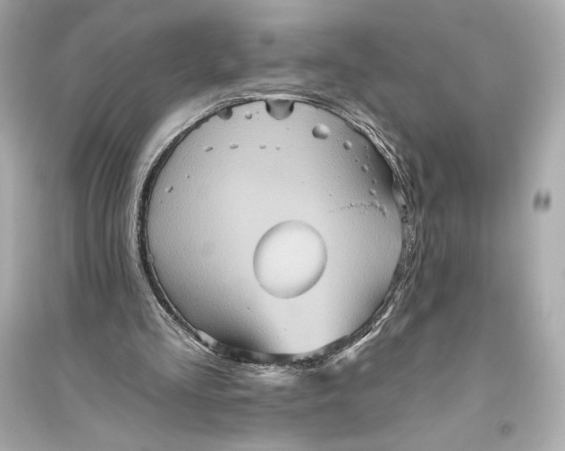 X0000094810293200711301558