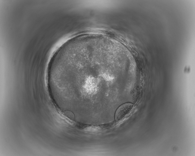 X0000094810294200711301558