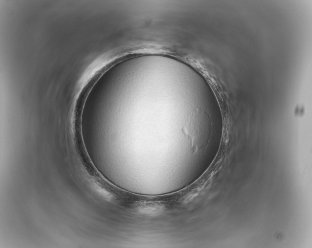 X0000094810296200711301558