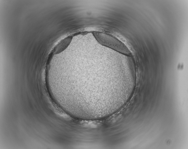 X0000094810297200711301558