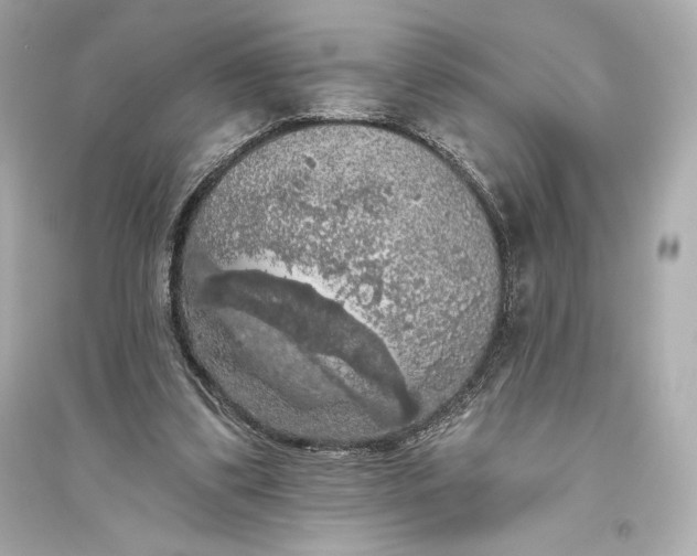 X0000094810299200711301557