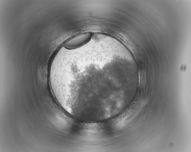 X0000094810301200711301557