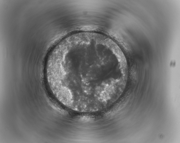 X0000094810303200711301557