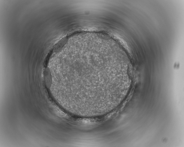 X0000094810305200711301557