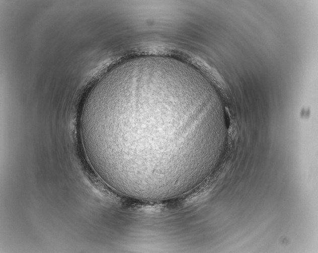 X0000094810306200711301557