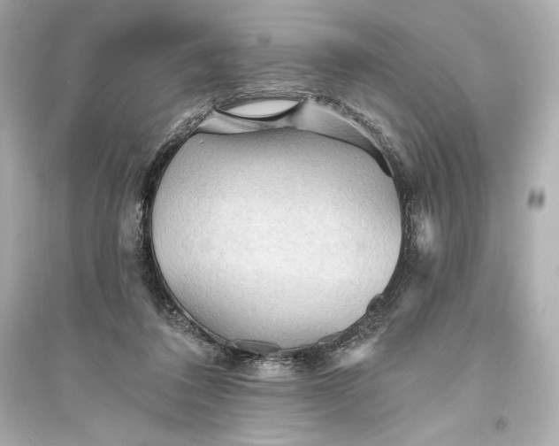 X0000094810308200711301557