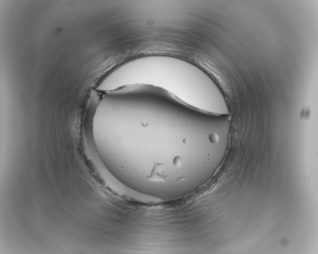 X0000094810309200711301557