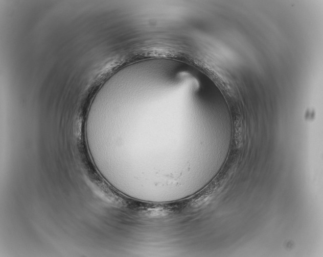 X0000094810310200711301557