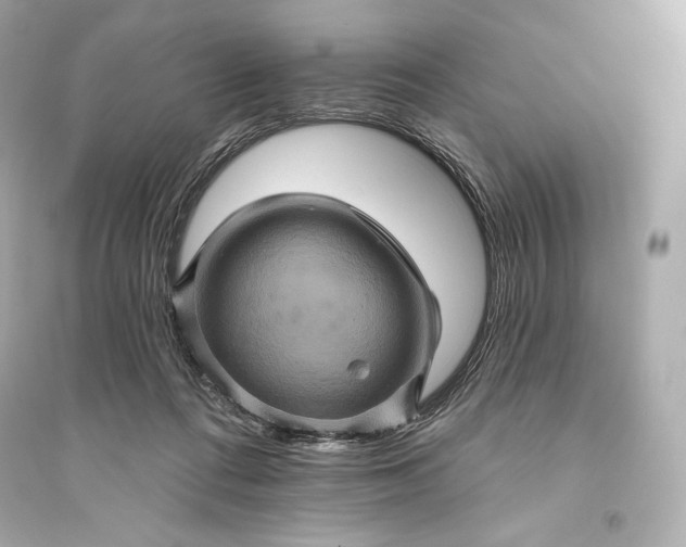 X0000094810312200711301557