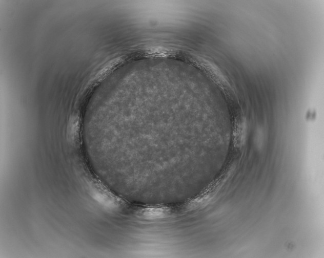 X0000094810314200711301557