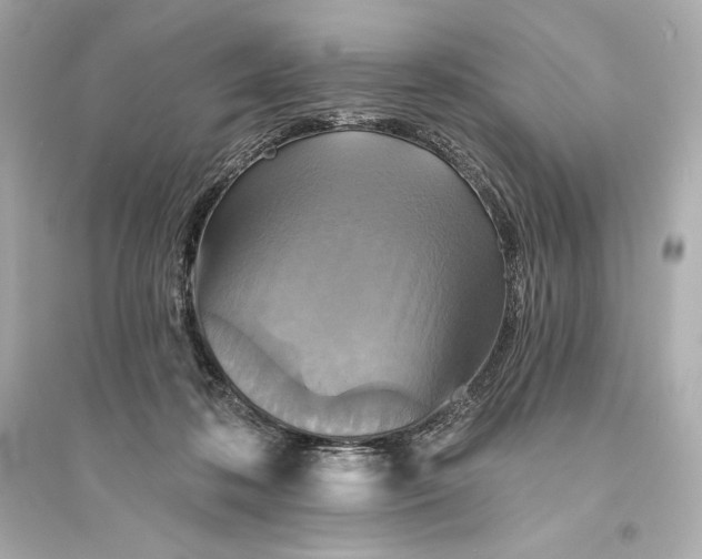 X0000094810316200711301557