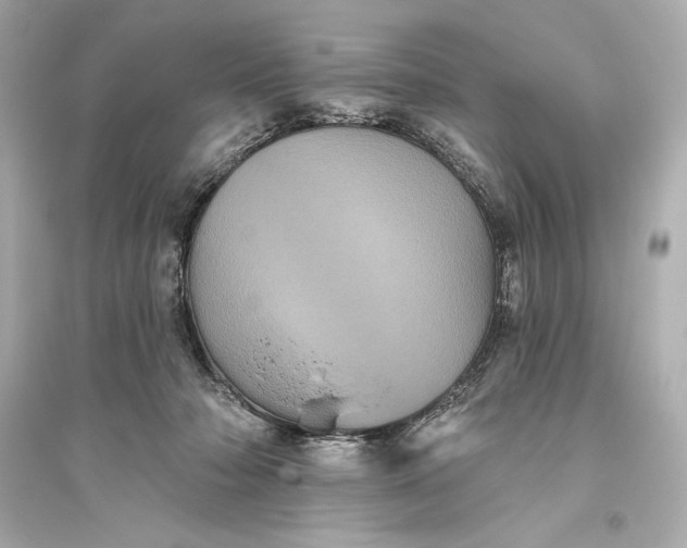 X0000094810318200711301557