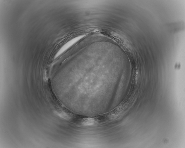 X0000094810320200711301557