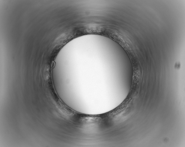 X0000094810323200711301557