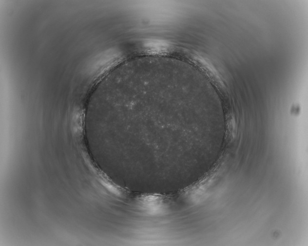 X0000094810325200711301557