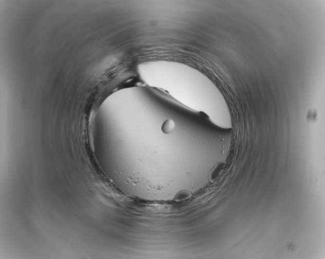 X0000094810328200711301557