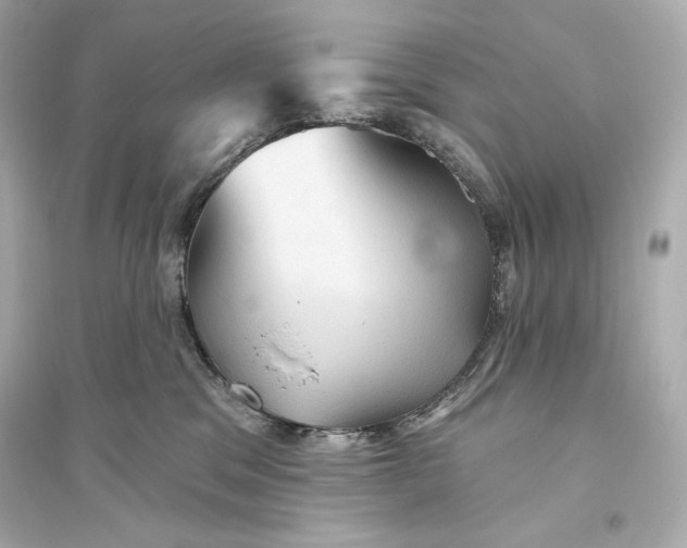 X0000094810329200711301557