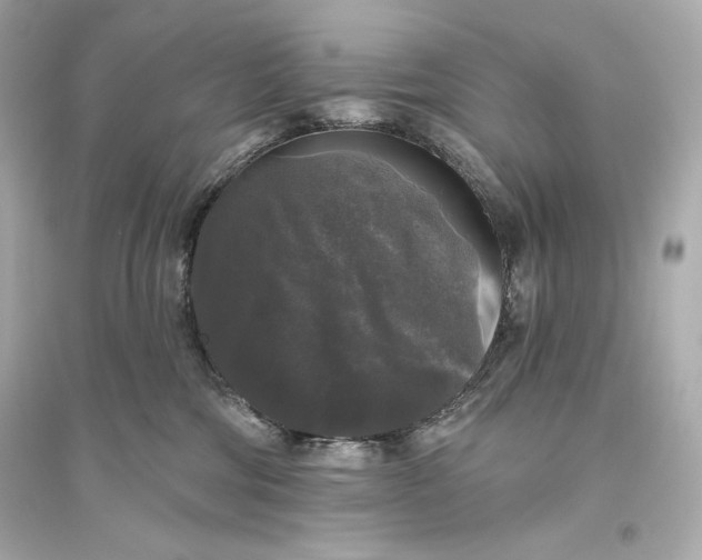 X0000094810330200711301557