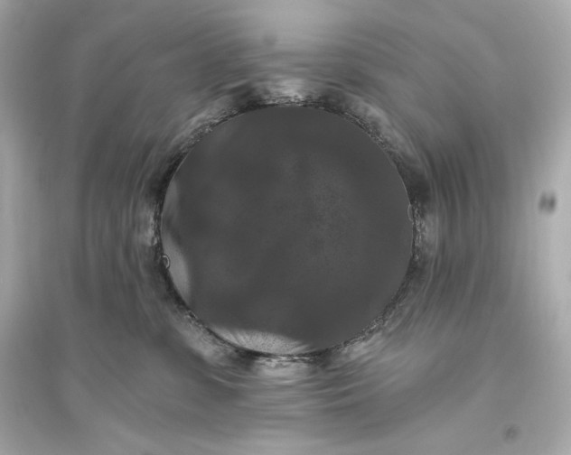 X0000094810331200711301557