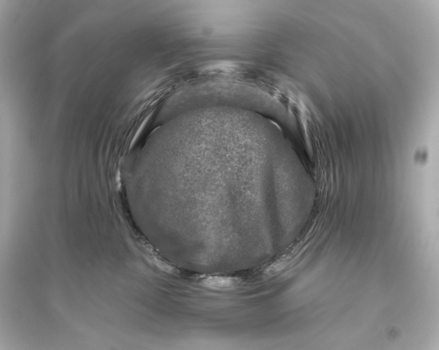 X0000094810332200711301557