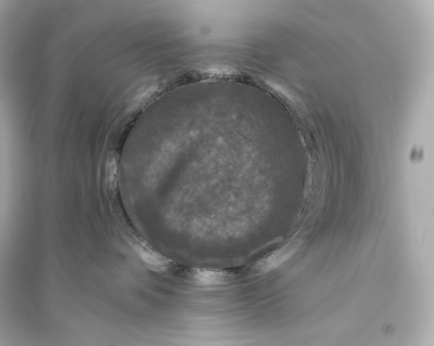 X0000094810336200711301557