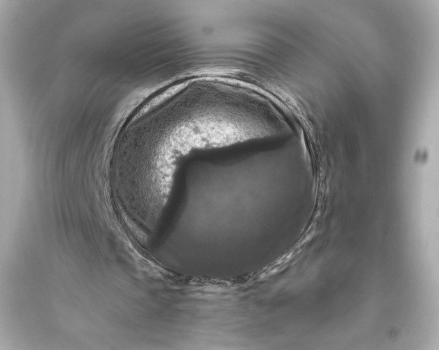 X0000094810337200711301556