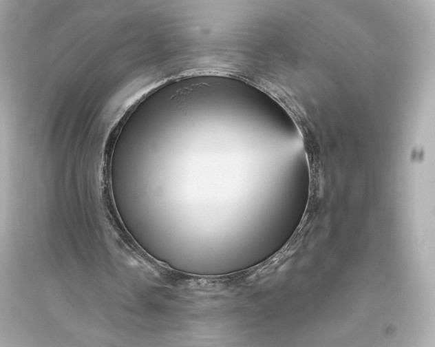 X0000094810338200711301556