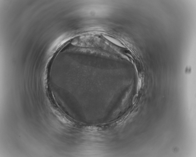 X0000094810339200711301556