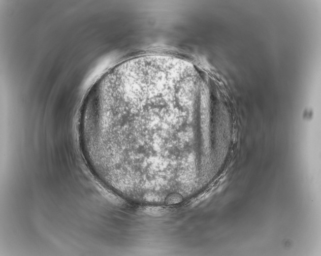 X0000094810341200711301556