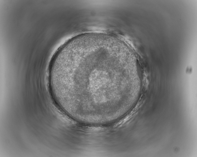 X0000094810342200711301556