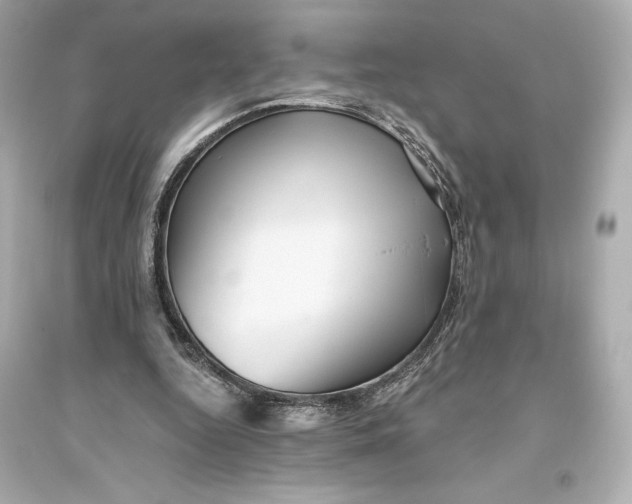 X0000094810344200711301556