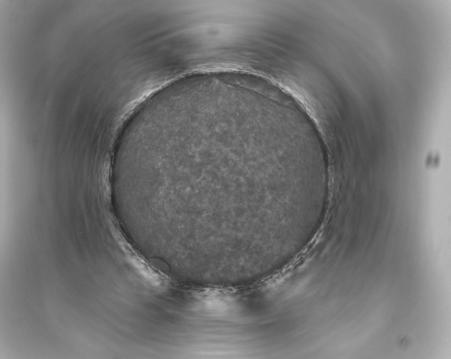 X0000094810345200711301556