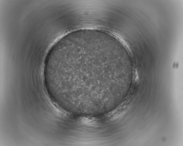 X0000094810346200711301556