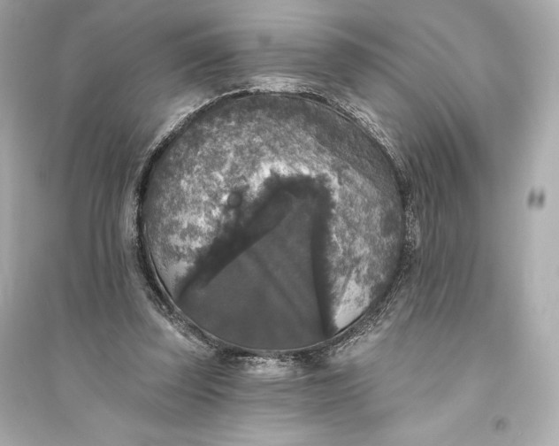 X0000094810347200711301556