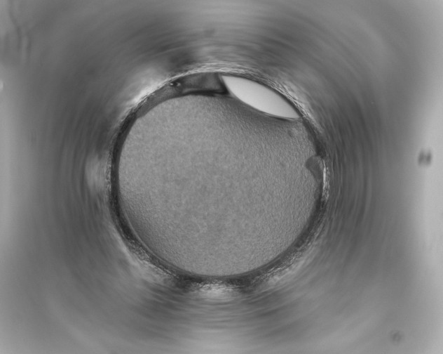 X0000094810348200711301556