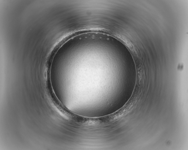 X0000094810350200711301556