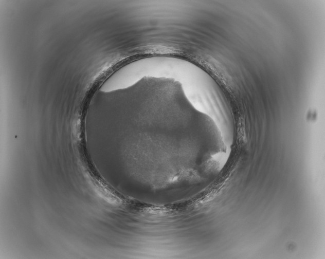 X0000094810351200711301556