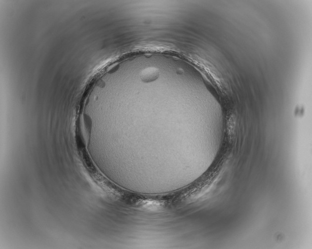 X0000094810352200711301556