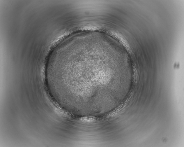 X0000094810354200711301556