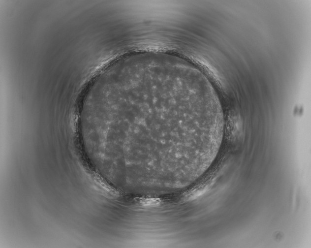 X0000094810355200711301556